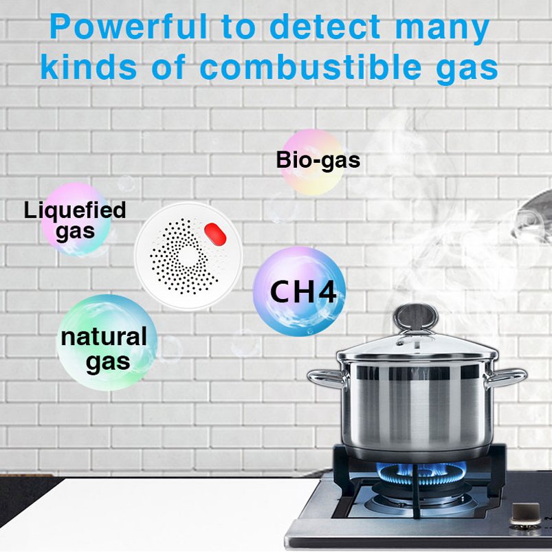 EU/US/UK Tuya Smart Home 2.4G  - Smart Home Wiz ulasan dan harga