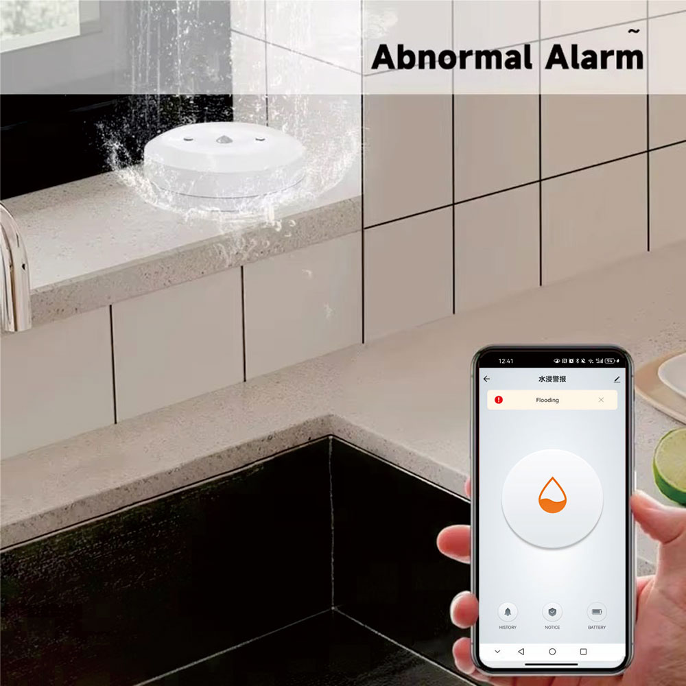 ZigBee Smart Water Leak Sensor - Smart Home Ecosystems ulasan dan harga